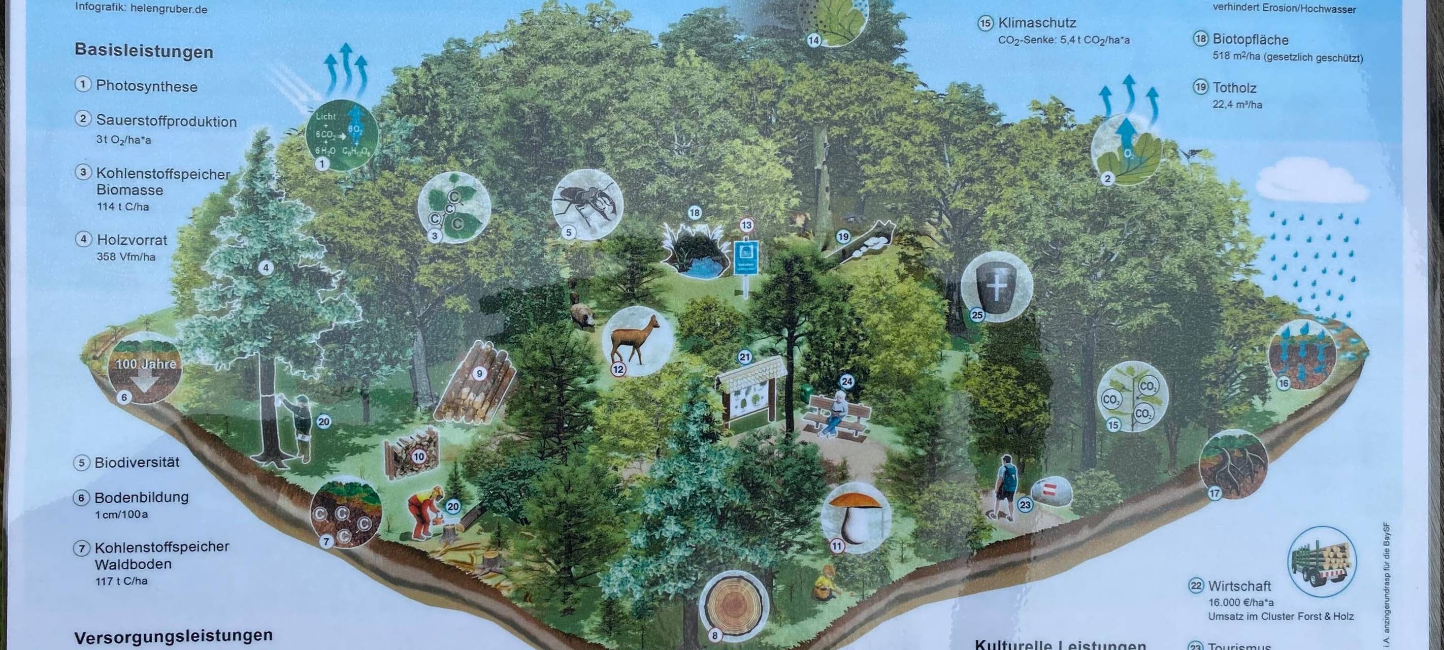 Förderung für Dahlems Wald