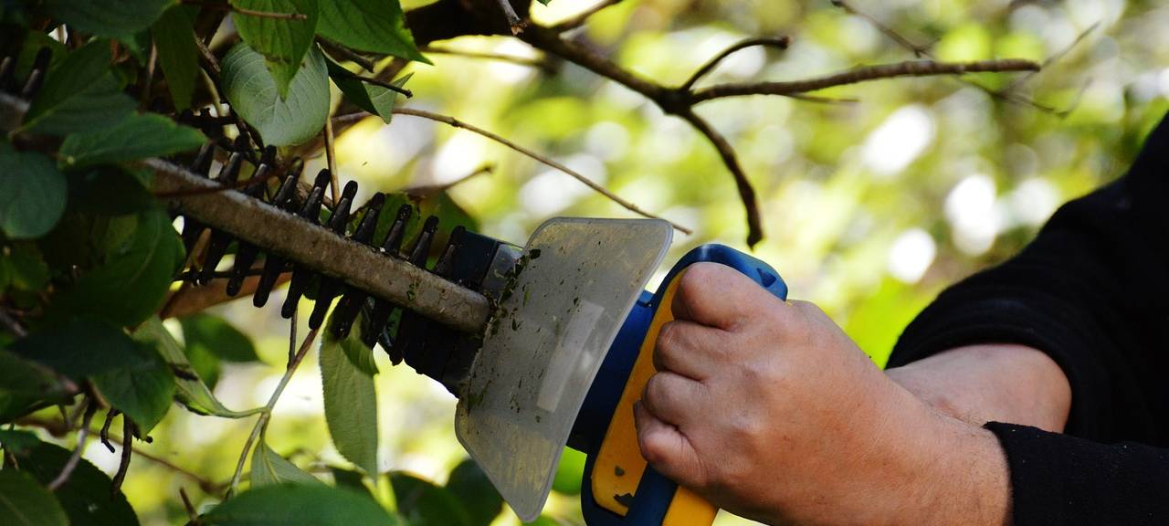 Grünschnitt im Garten