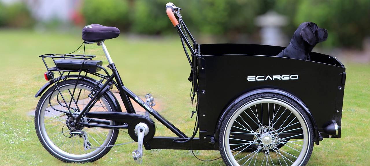 Geld dazu fürs Lastenrad
