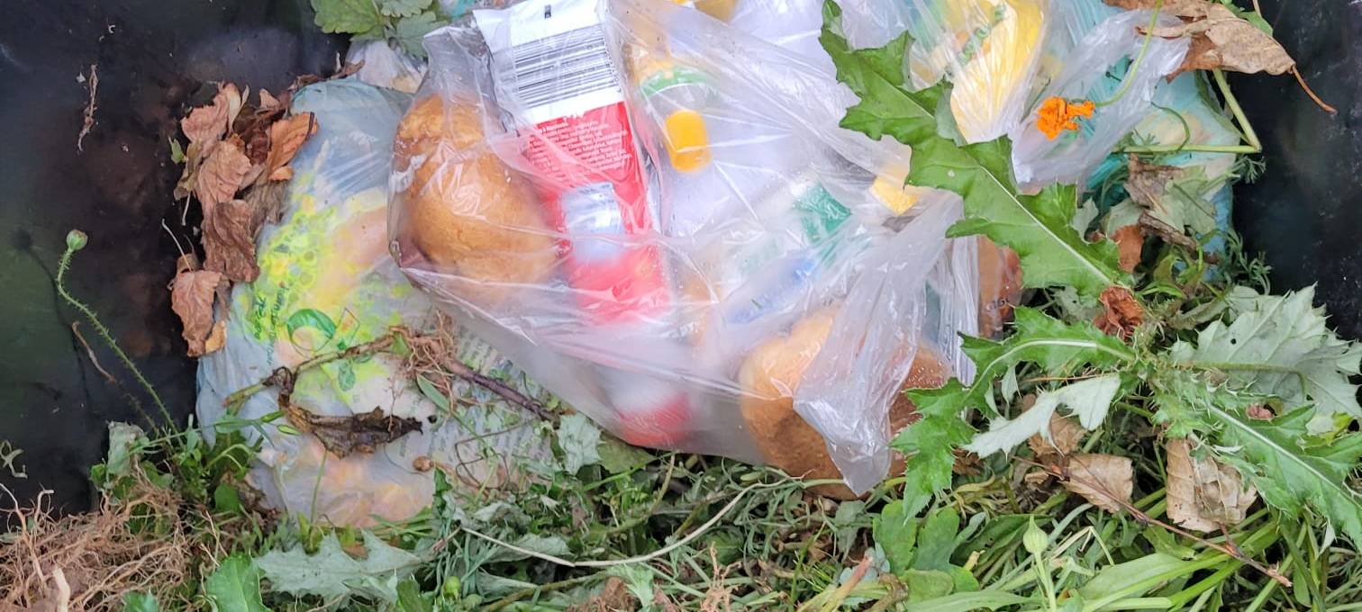 Kreis Euskirchen: Biomüll Kampagne