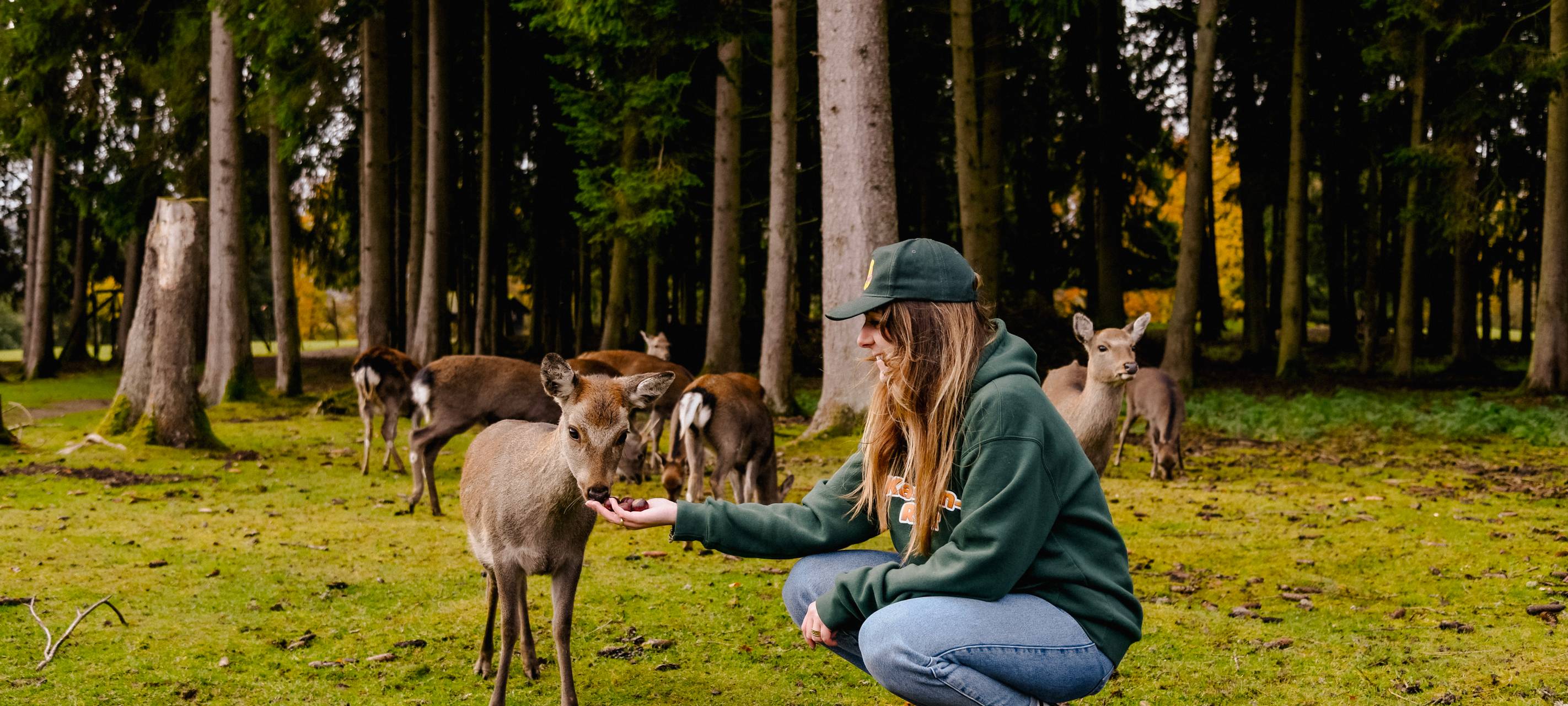 Haribo spendet Kastanien für Tiere in Hellenthal und Kommern