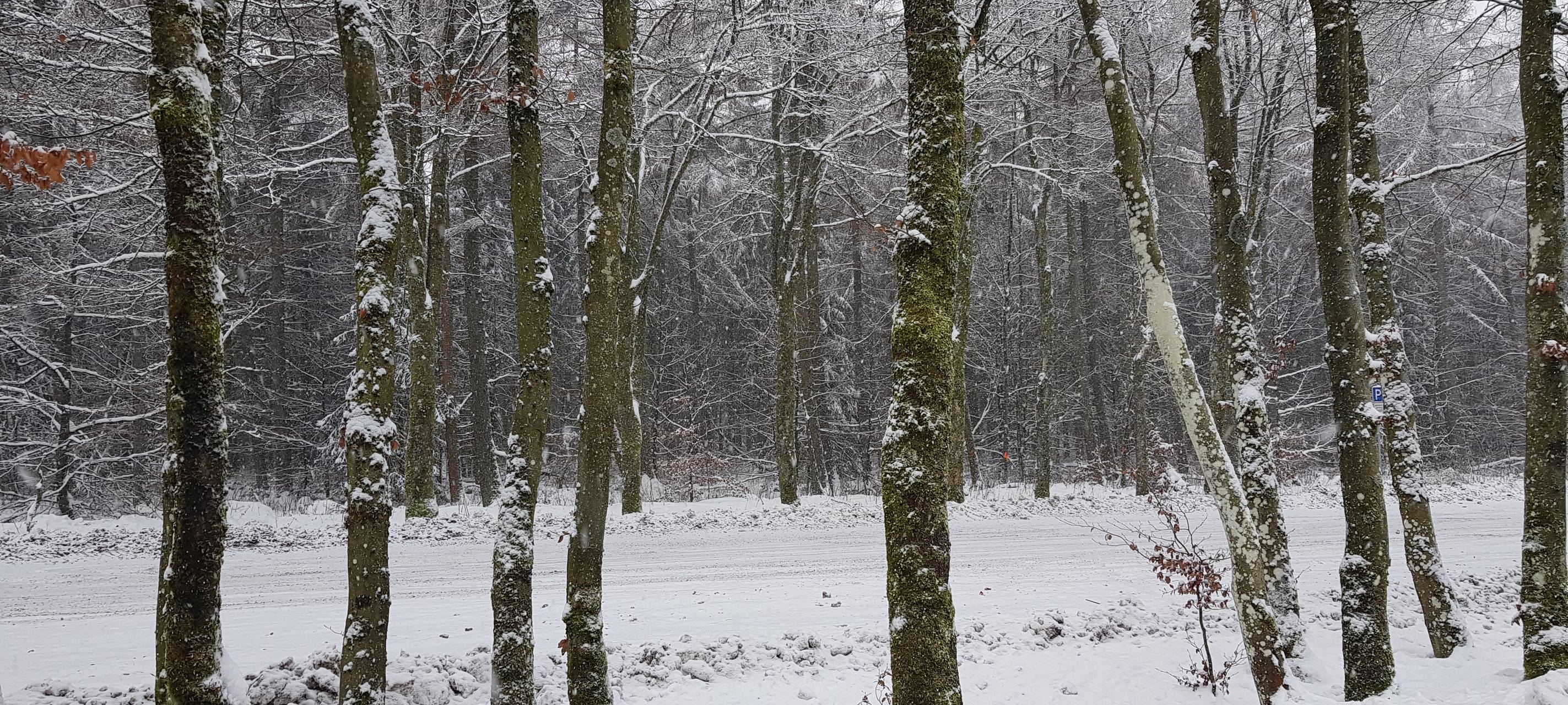 Erstes Schneewochenende am Weißen Stein