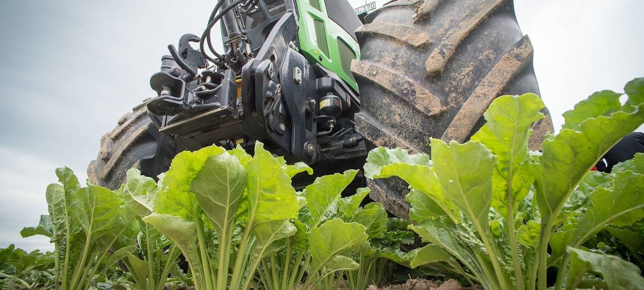 Kreis Euskirchen: Rübenernte geht in die finalen Wochen