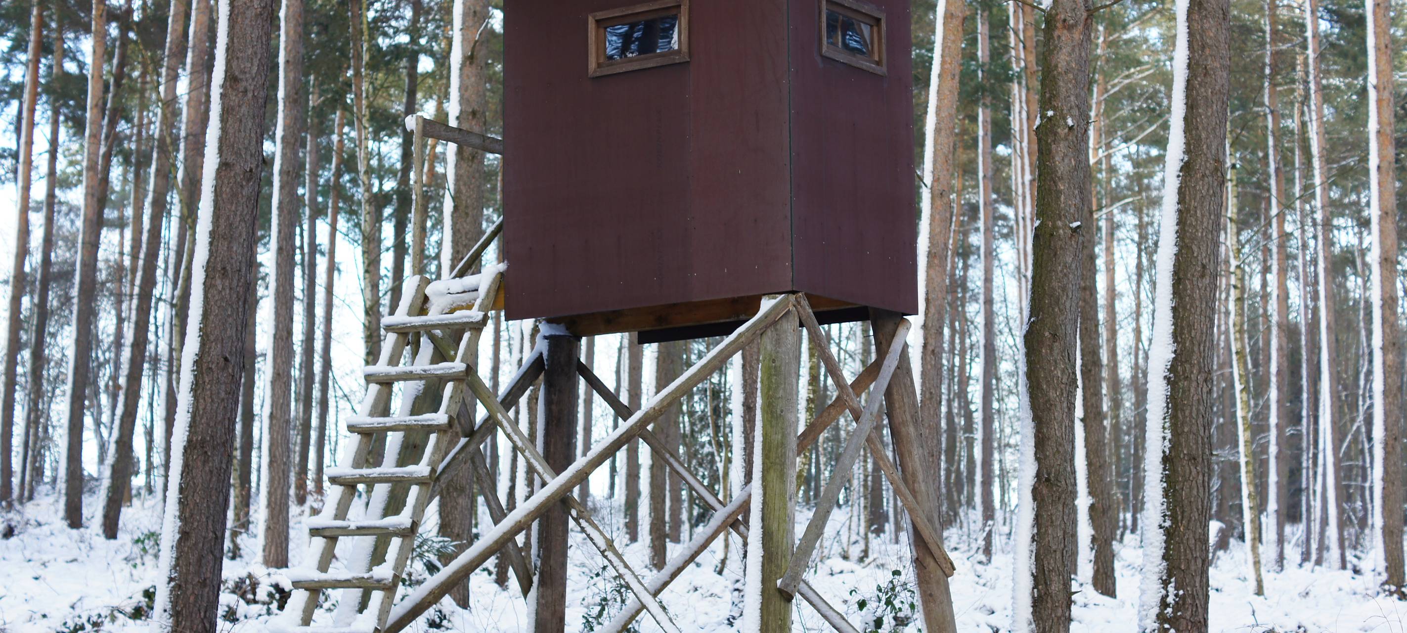 Unbekannte werfen Molotowcocktail in Hochsitz