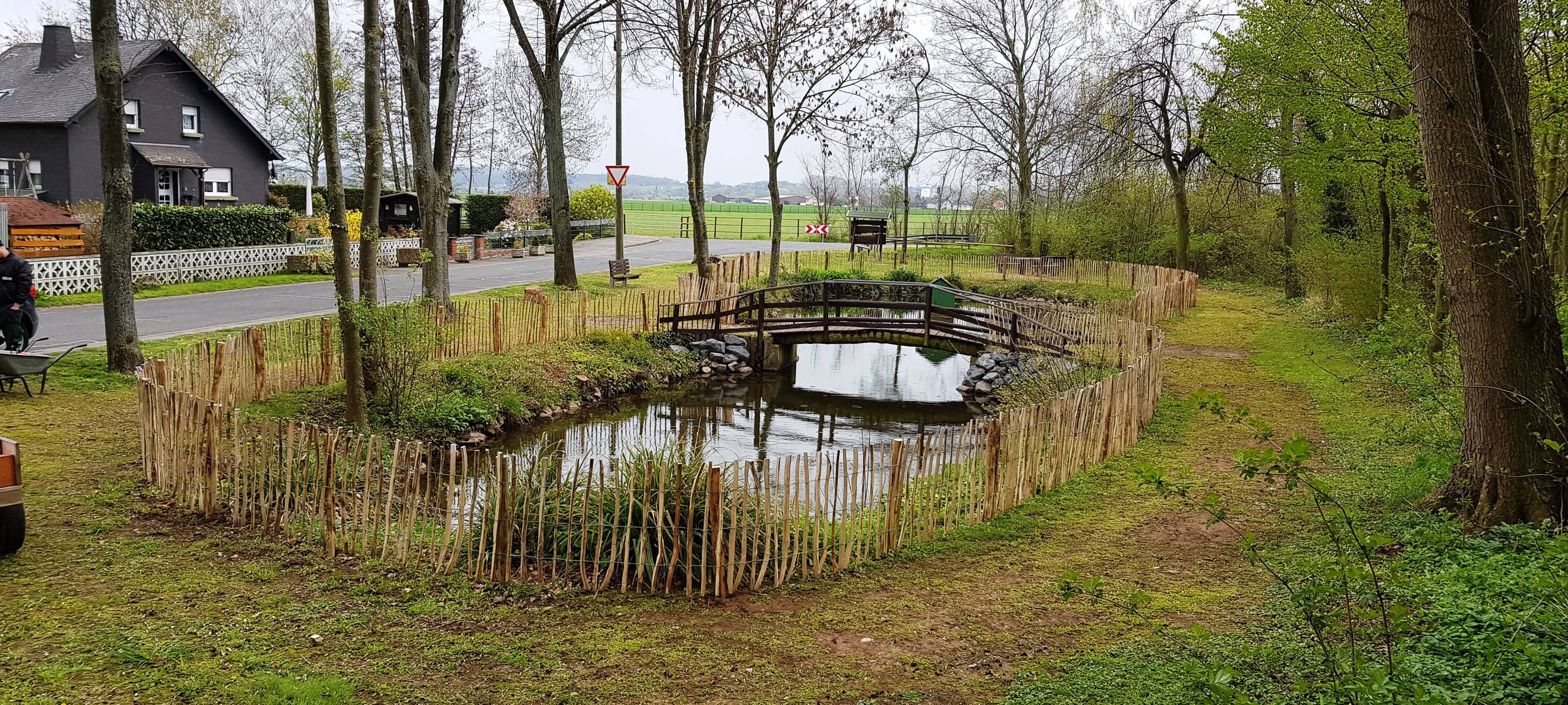 Teich in Zülpich-Merzenich