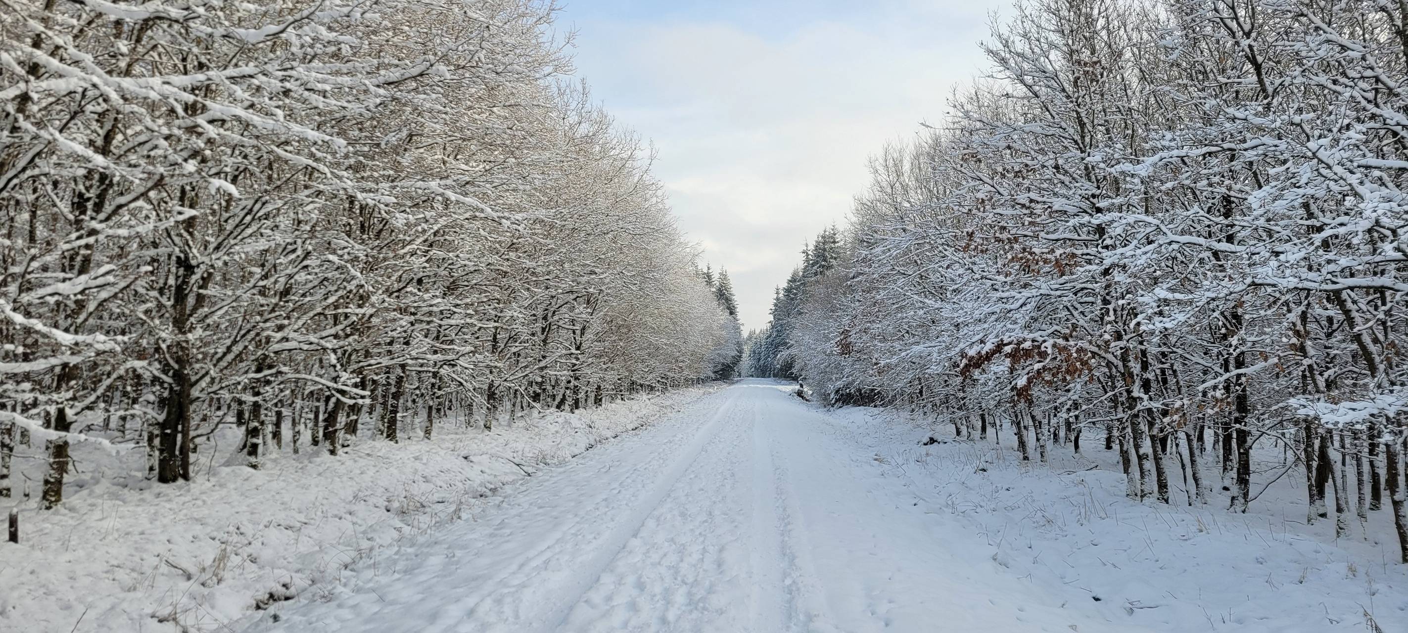 Blankenheim: Driften im Schnee