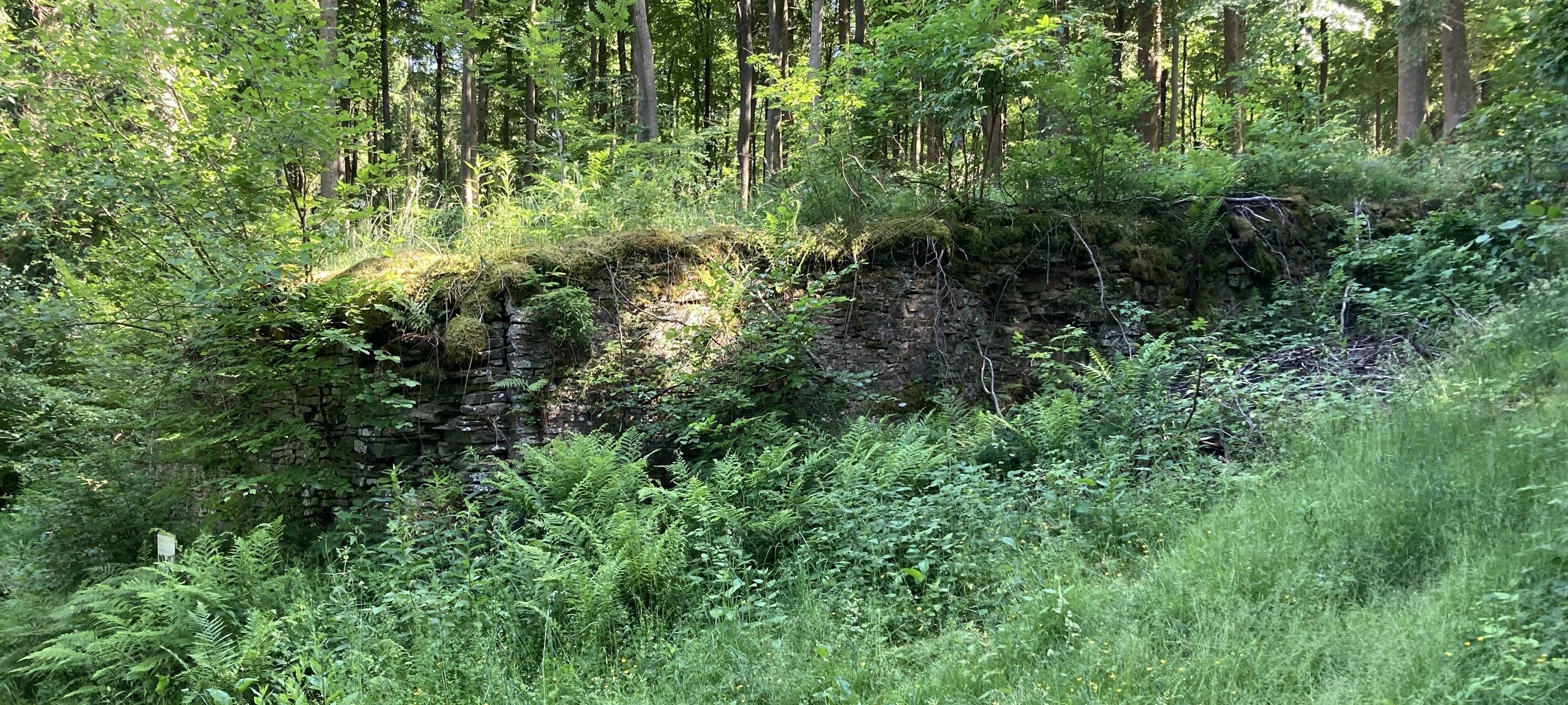 Ehemalige Skisprungschanze bei Hollerath wird Bodendenkmal