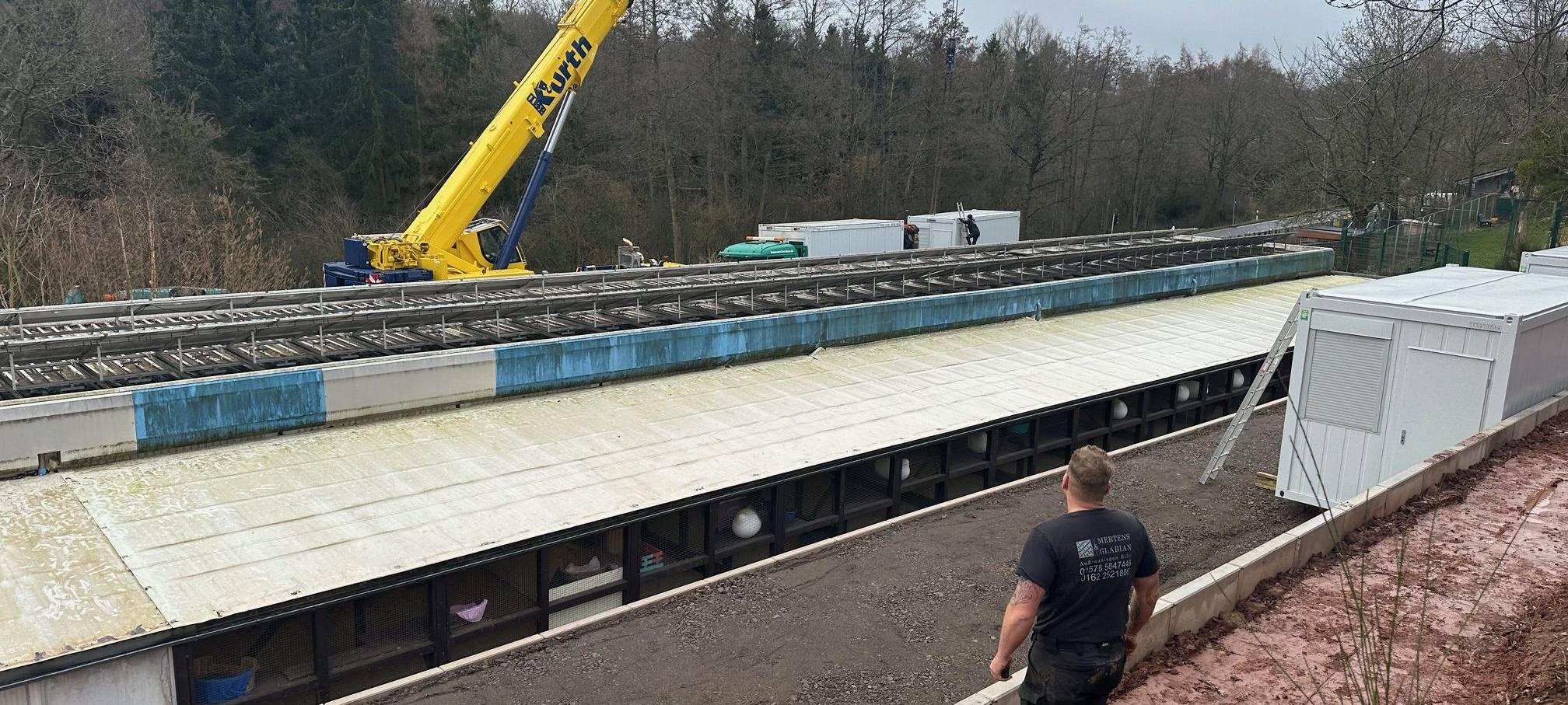 Container für Tierheim in Mechernich