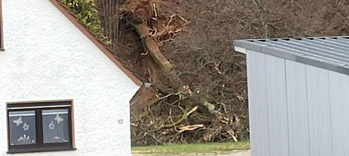 Schleiden: Baum fällt in Freileitung - Reparatur dauert an
