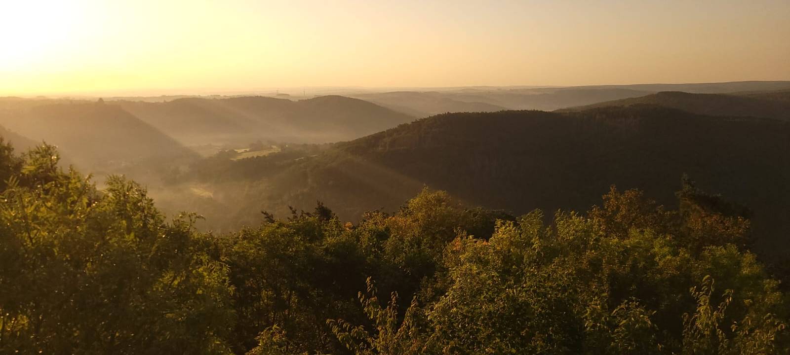 Nationalpark Eifel: Besucher sorgen für Millionen-Umsatz in der Region