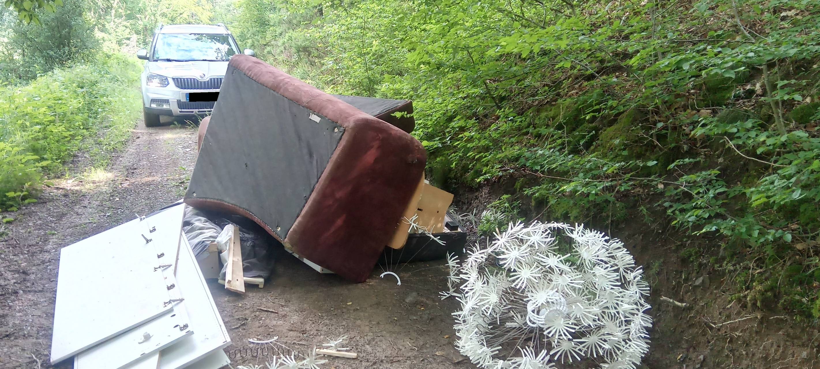 Grünschnitt gehört nicht in den Wald