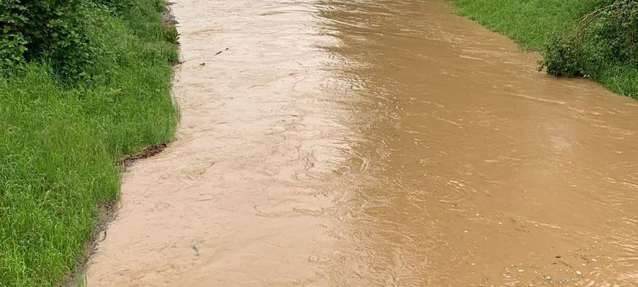 Unwetter sorgen für Hochwasser am Swistbach