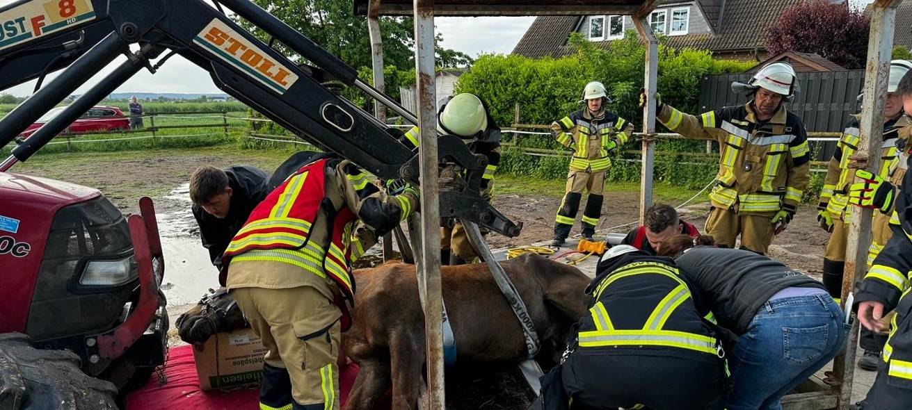 Feuerwehr rettet Pferd