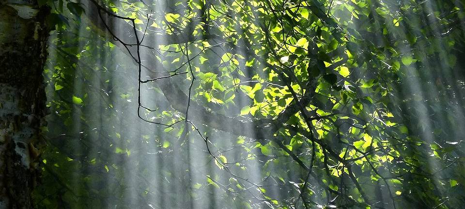 Kreis Euskirchen: Schulen der Zukunft