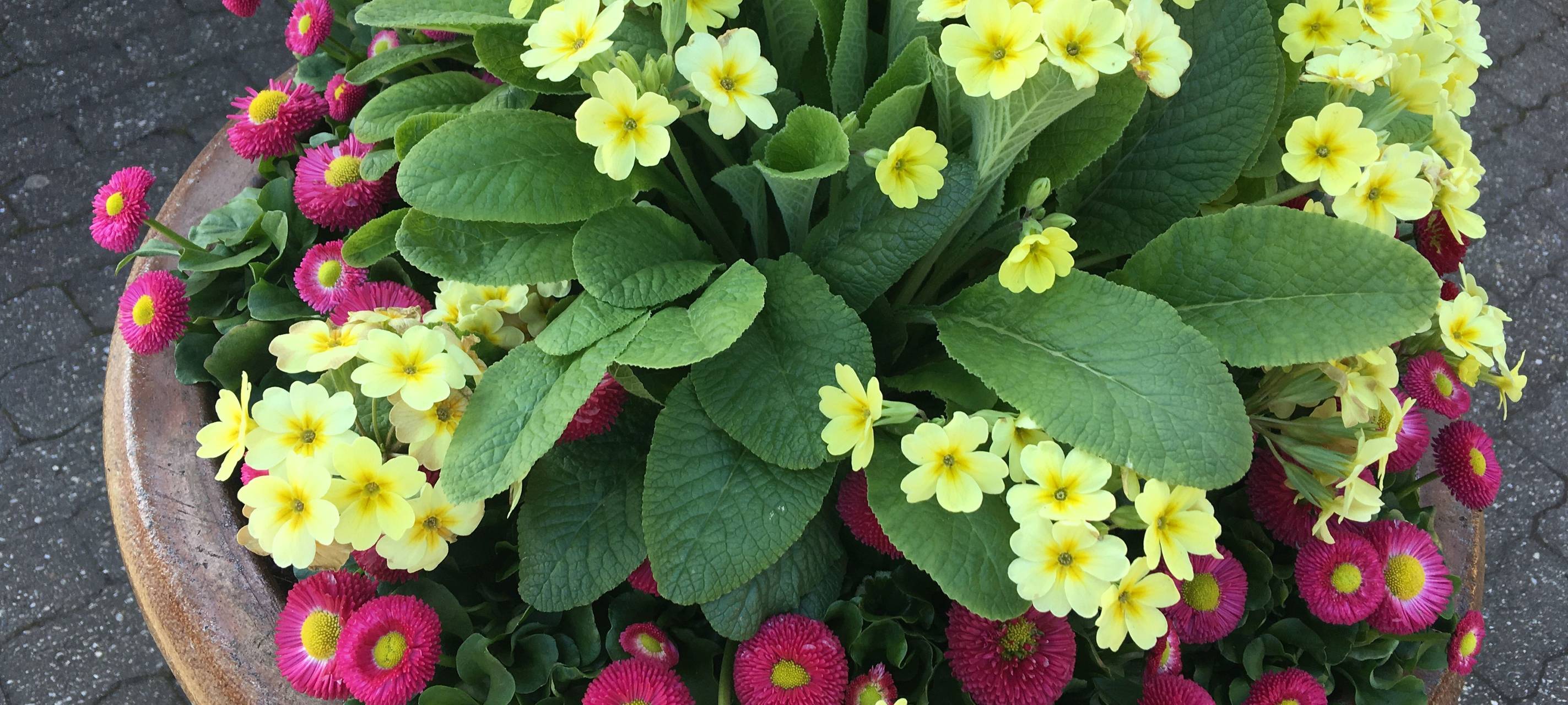 Kuchenheim soll schöner werden - Projektideen gesucht