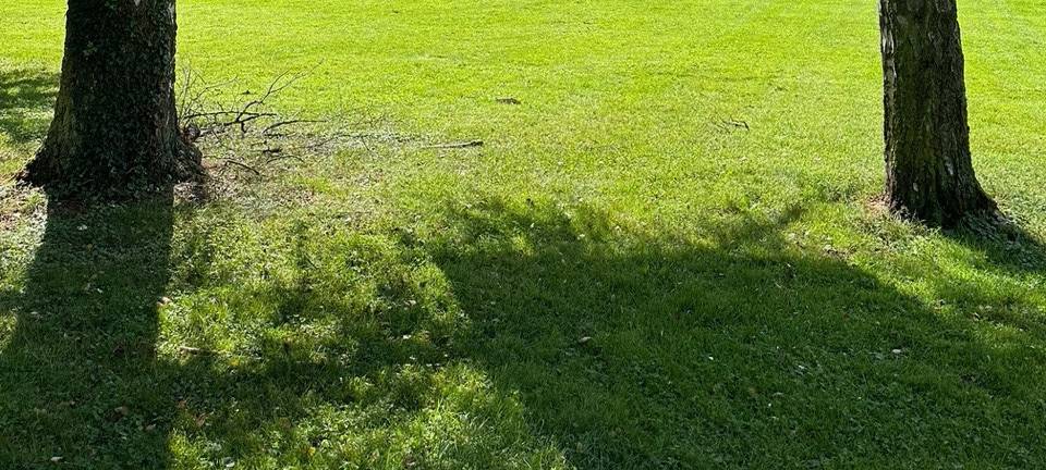 Nächster Teil der OpenAirGalerie Bad Münstereifel