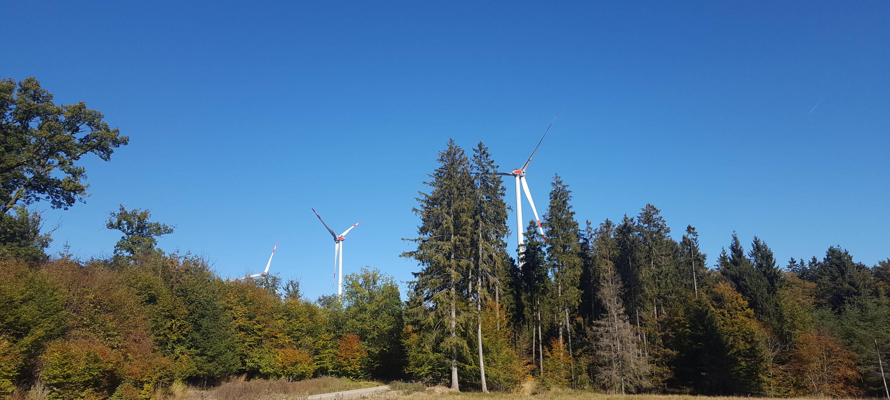 Stadt Euskirchen ist gegen Windräder im Flamersheimer Wald
