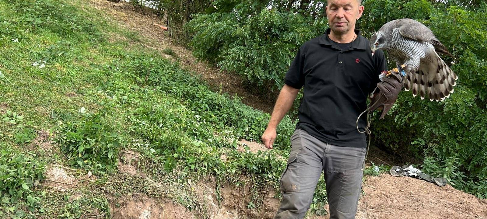 Feuerwehreinsatz in Zülpich: Greifvogel gerät in Dachsbau