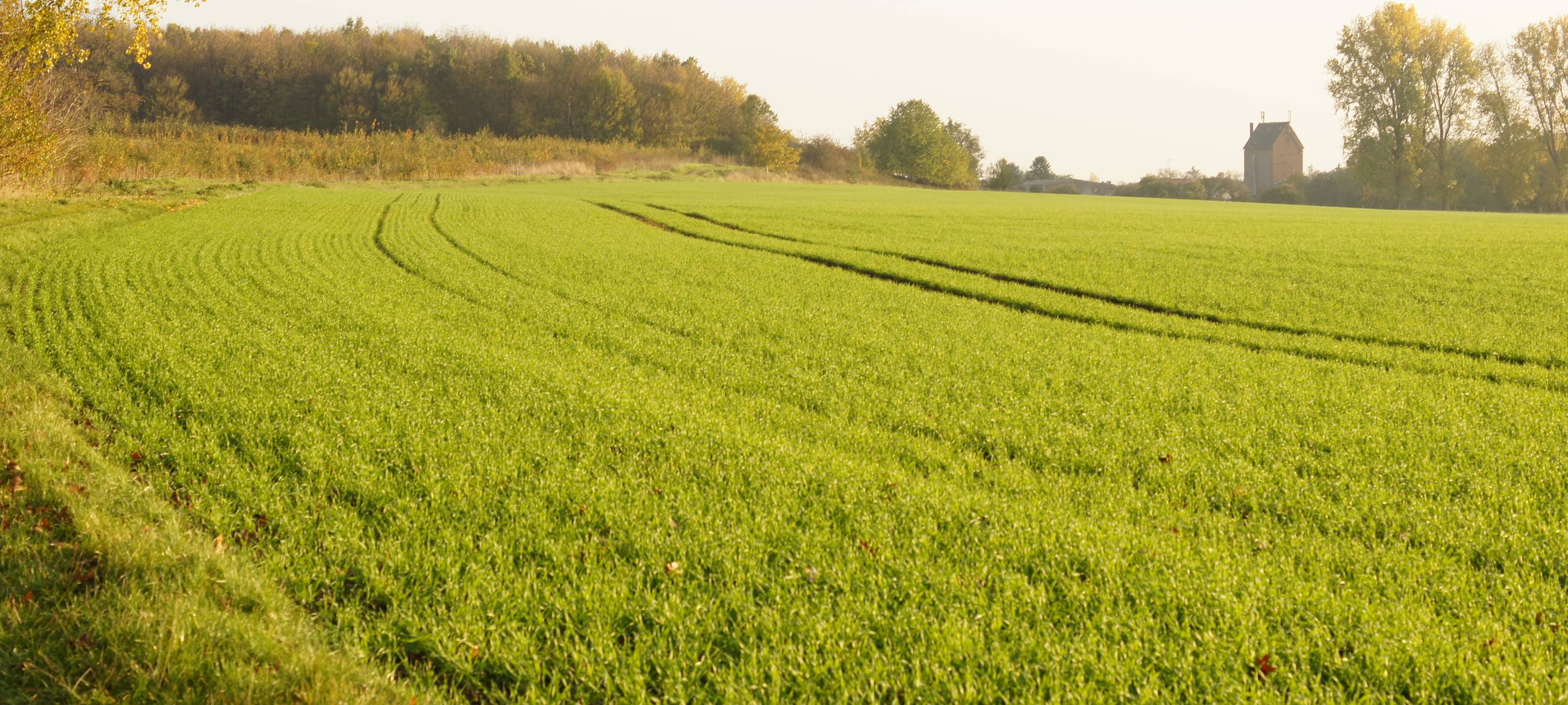 Stadt Zülpich sucht eure Ideen für Klimaschutz