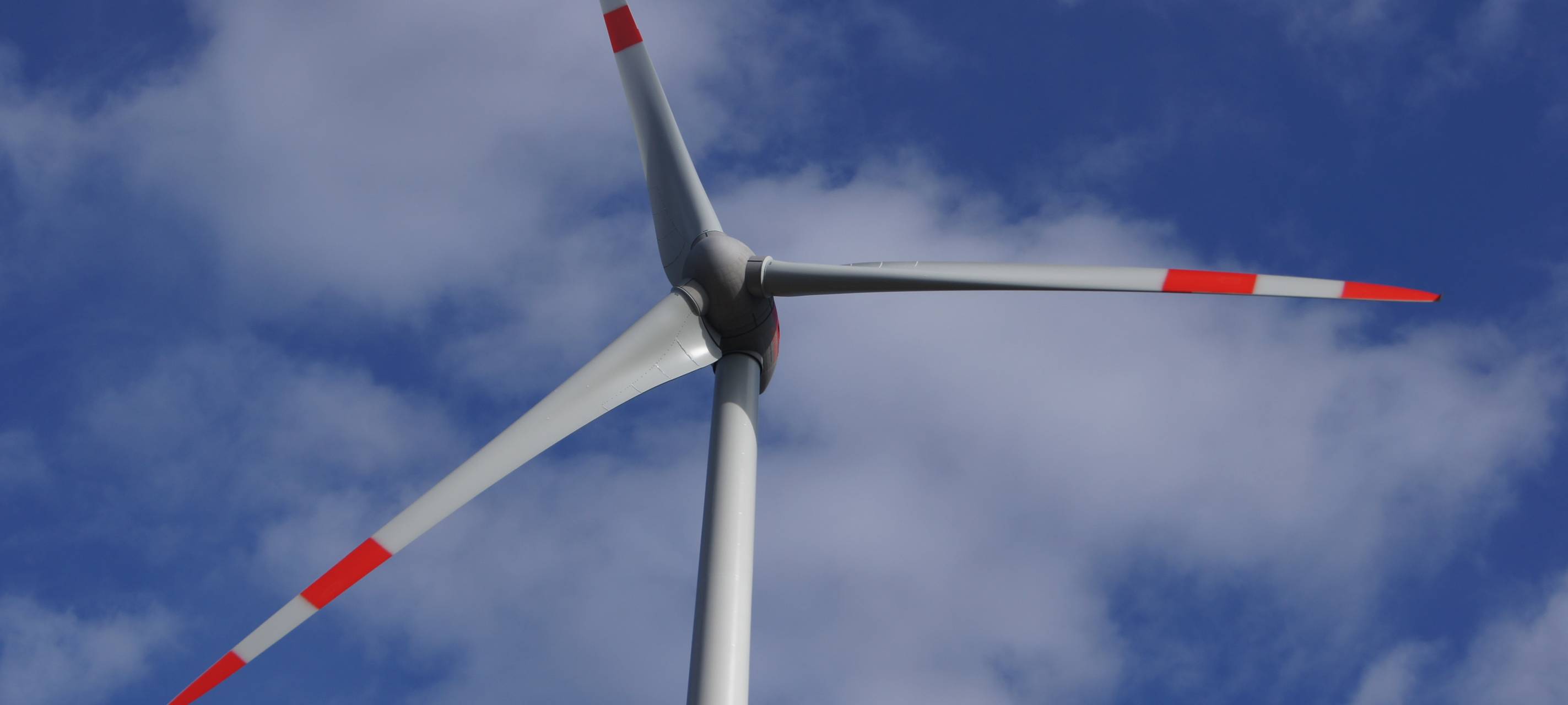 Entscheidung über Zulässigkeit eines Bürgerbegehrens