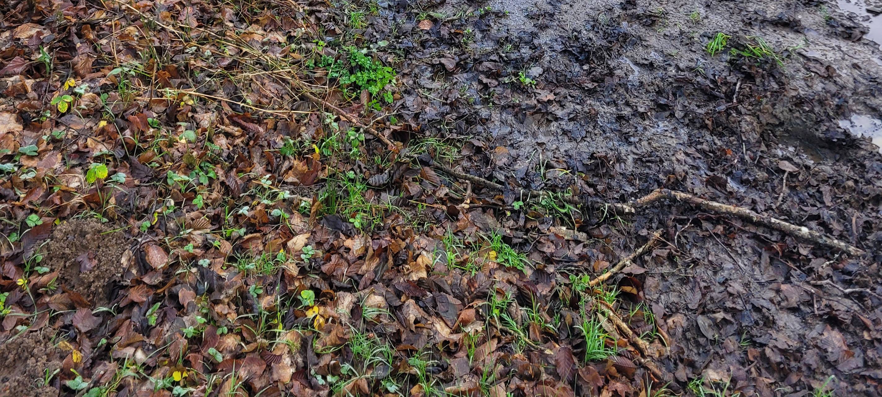 Brücken sollen wiederaufgebaut werden