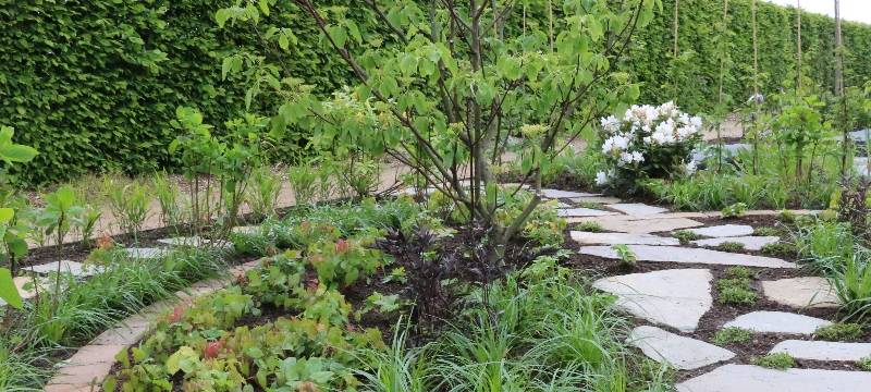 Bienenfreundliche Muster-Vorgärten im Seepark Zülpich