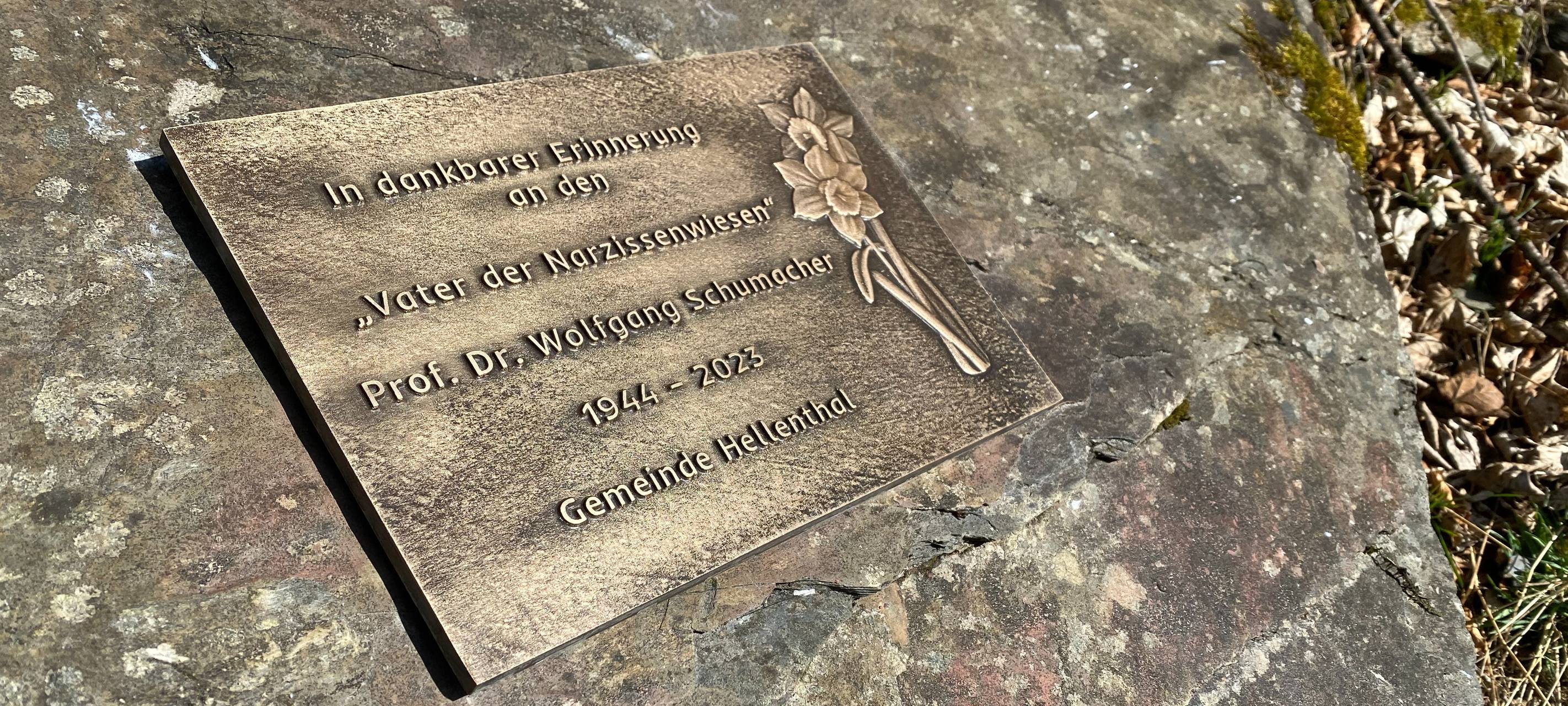 Narzissen: Hellenthal ehrt Geobotaniker mit Gedenktafel