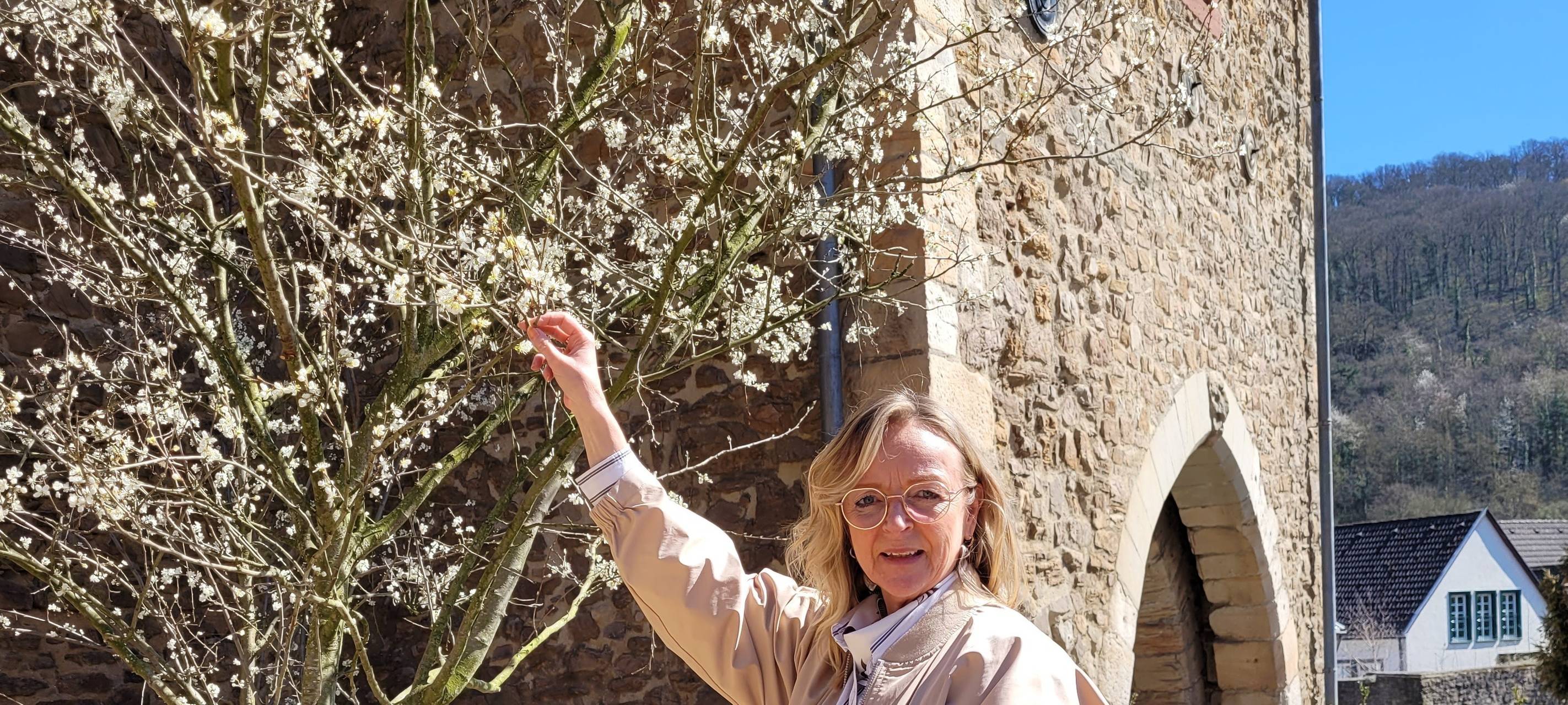 Die Blüten der Stadtverschönerung in Bad Münstereifel