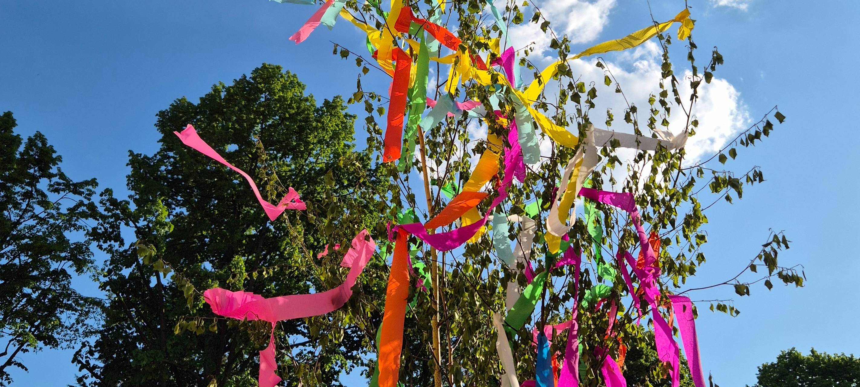 Maibaumverkauf in Euskirchen