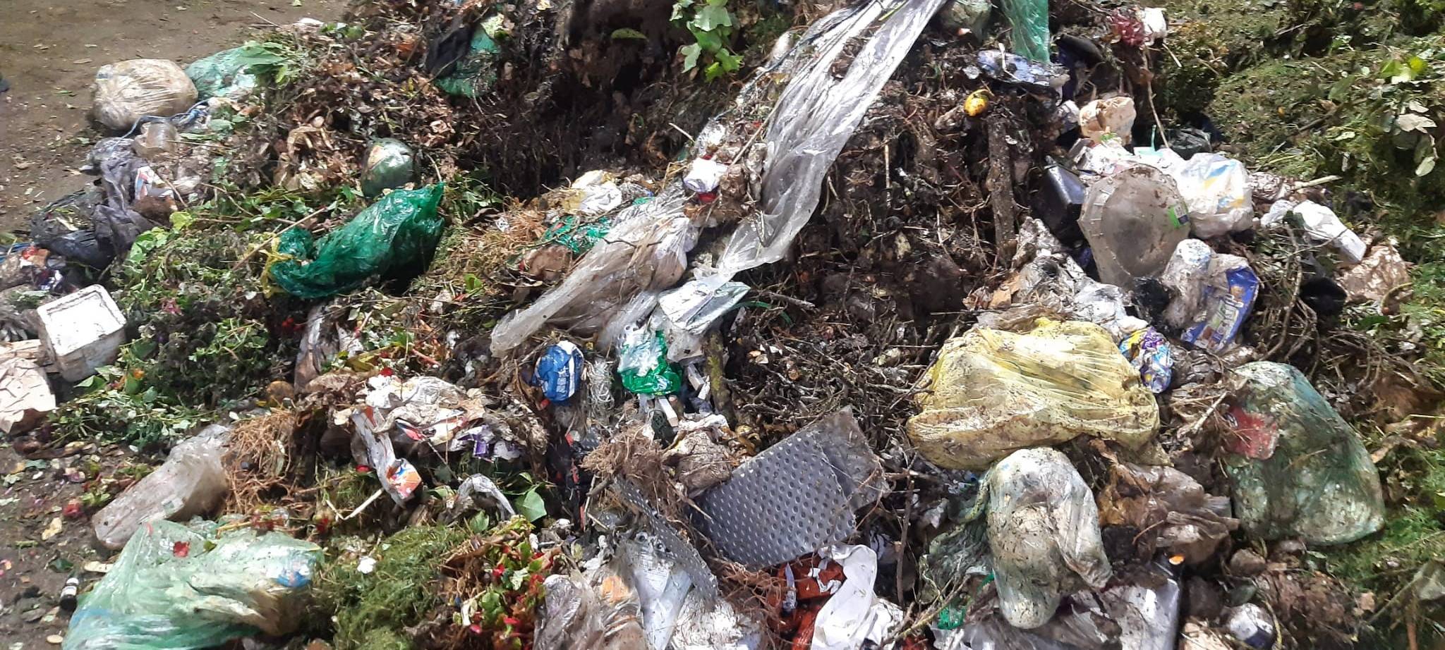 Mehr Müll im Rhein als angenommen