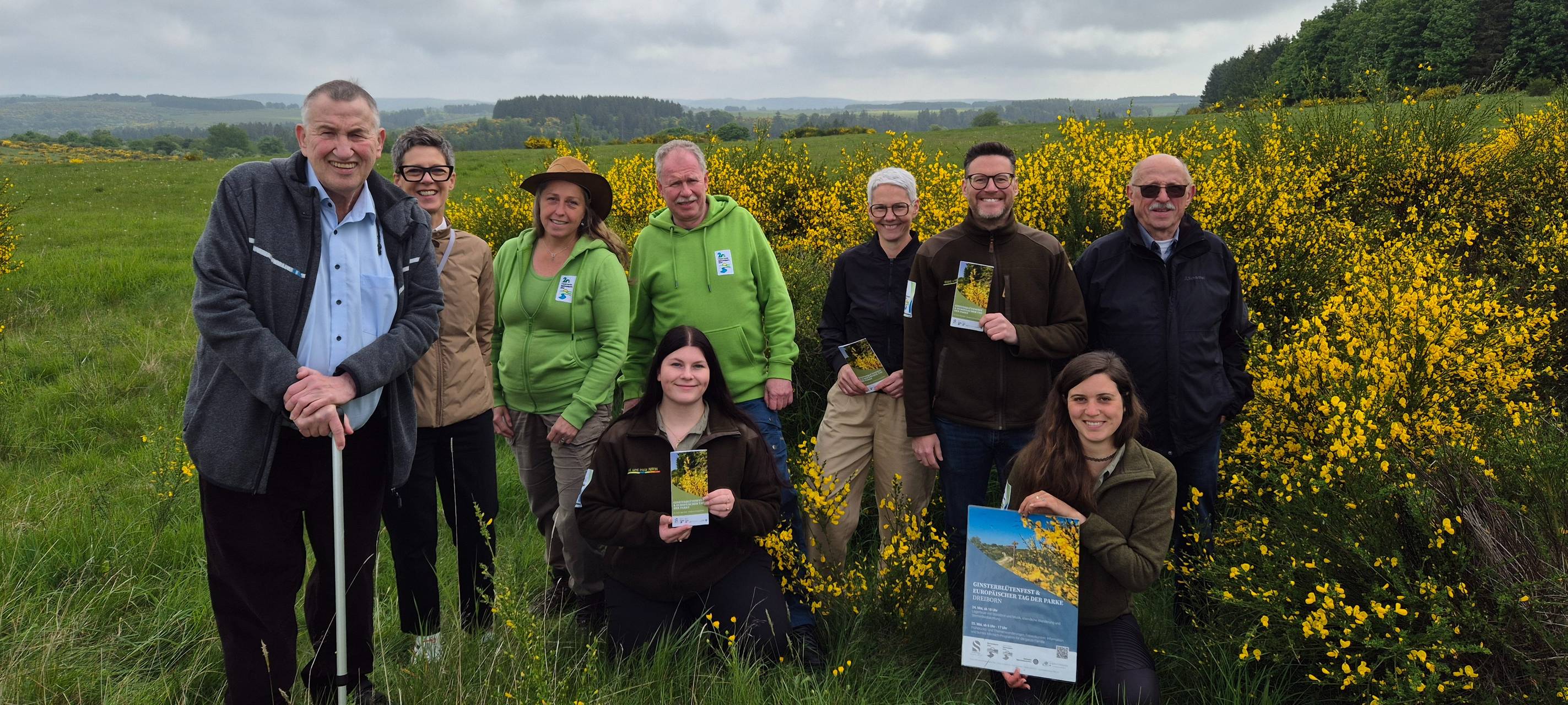 Viel Programm zum Ginsterblütenfest