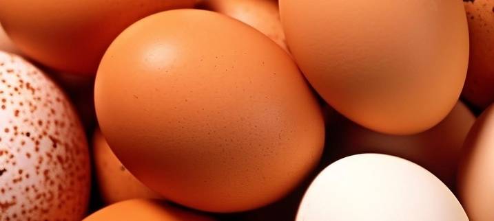 03.04. Ostereierfärben