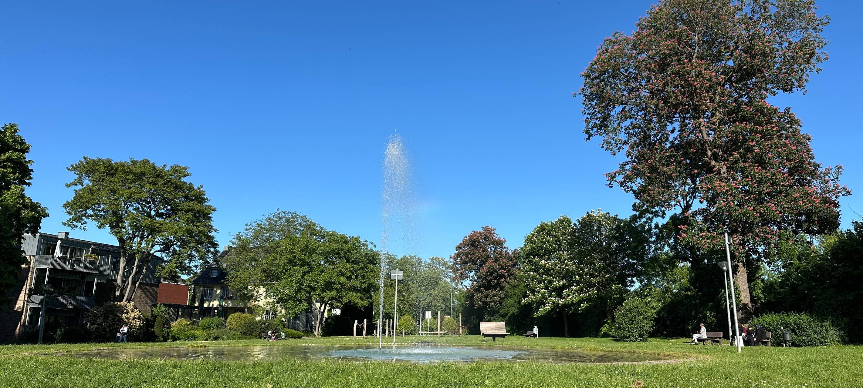 Wieder mehr Menschen bei Sport im Park