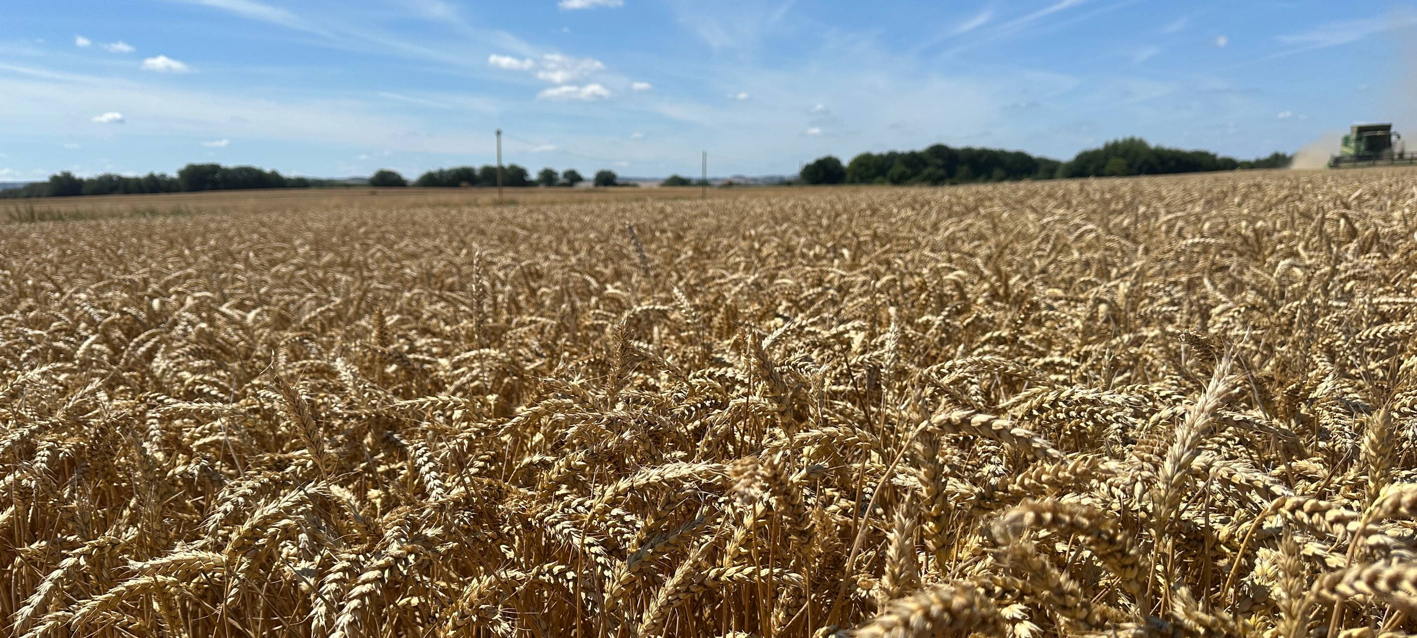 Bauern im Kreis Euskirchen ziehen gemischte Ernte-Bilanz