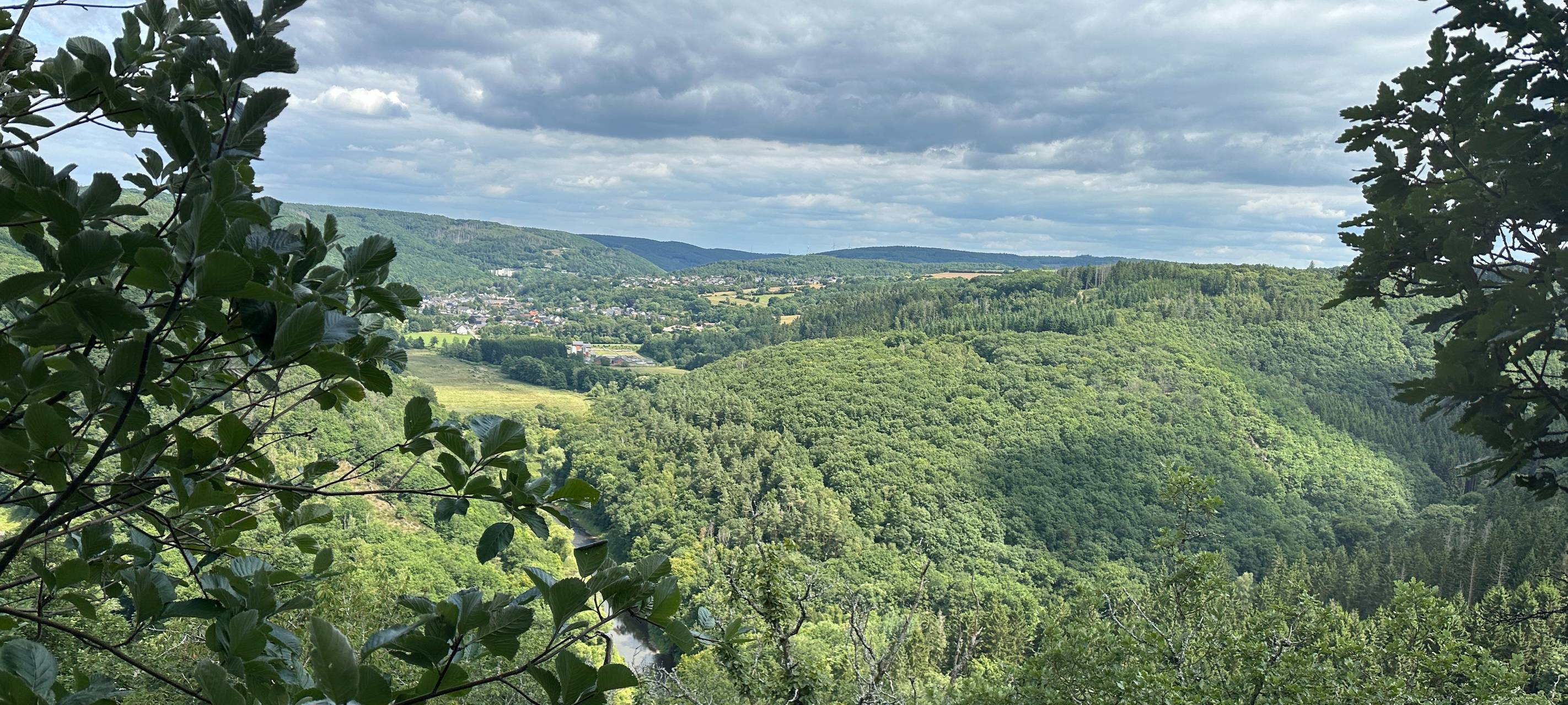 KI für die Forschung im Nationalpark