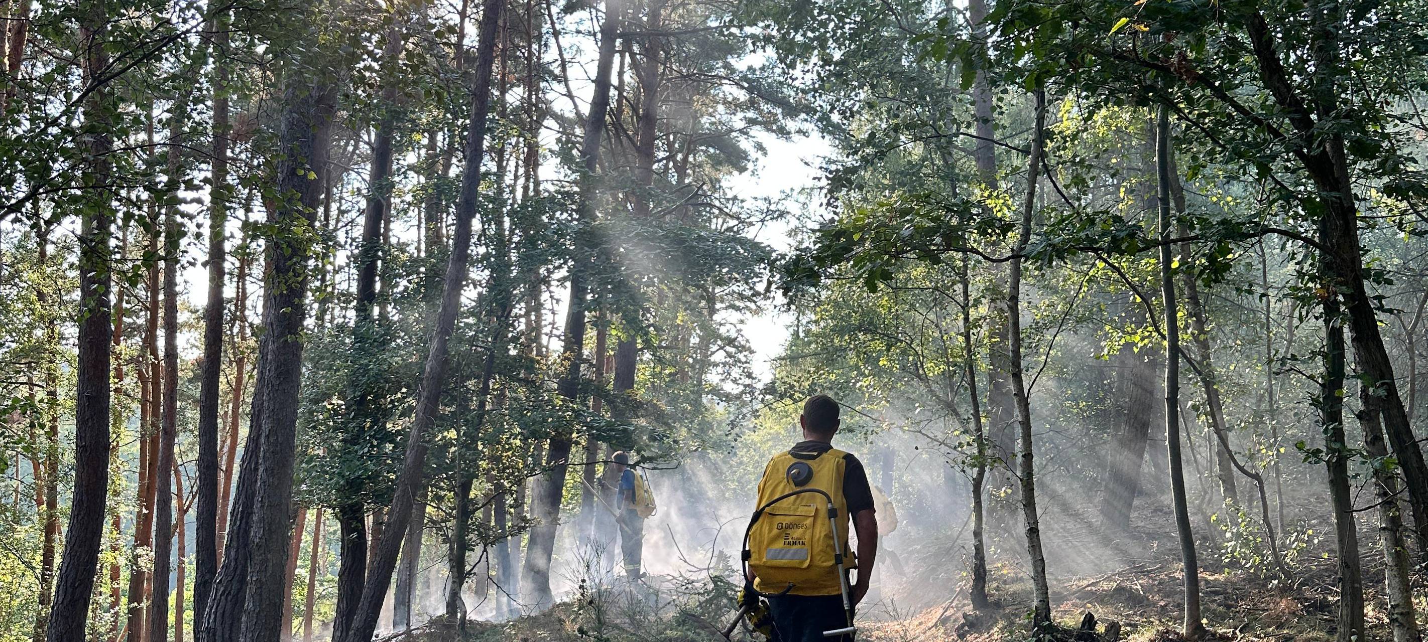 Waldbrand im Nationalpark Eifel
