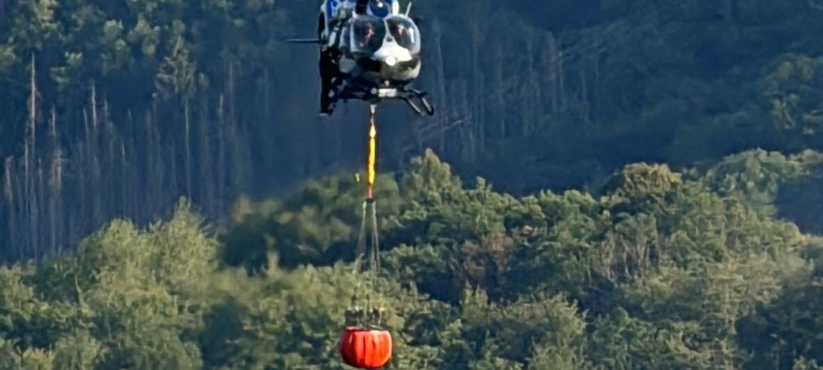 Waldbrand im Nationalpark nach knapp 24 Stunden gelöscht
