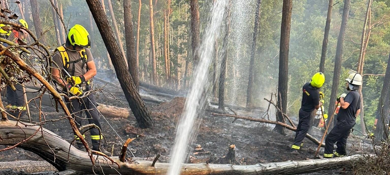 Waldbrand im Nationalpark nach knapp 24 Stunden gelöscht