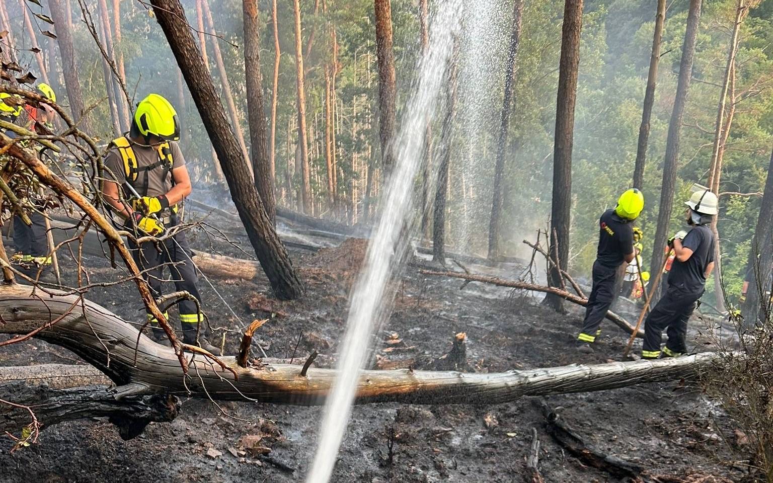 Große Waldbrandübung der Feuerwehren im Kreis