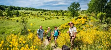 Tourismus in Schleiden soll zukunftsfähiger werden