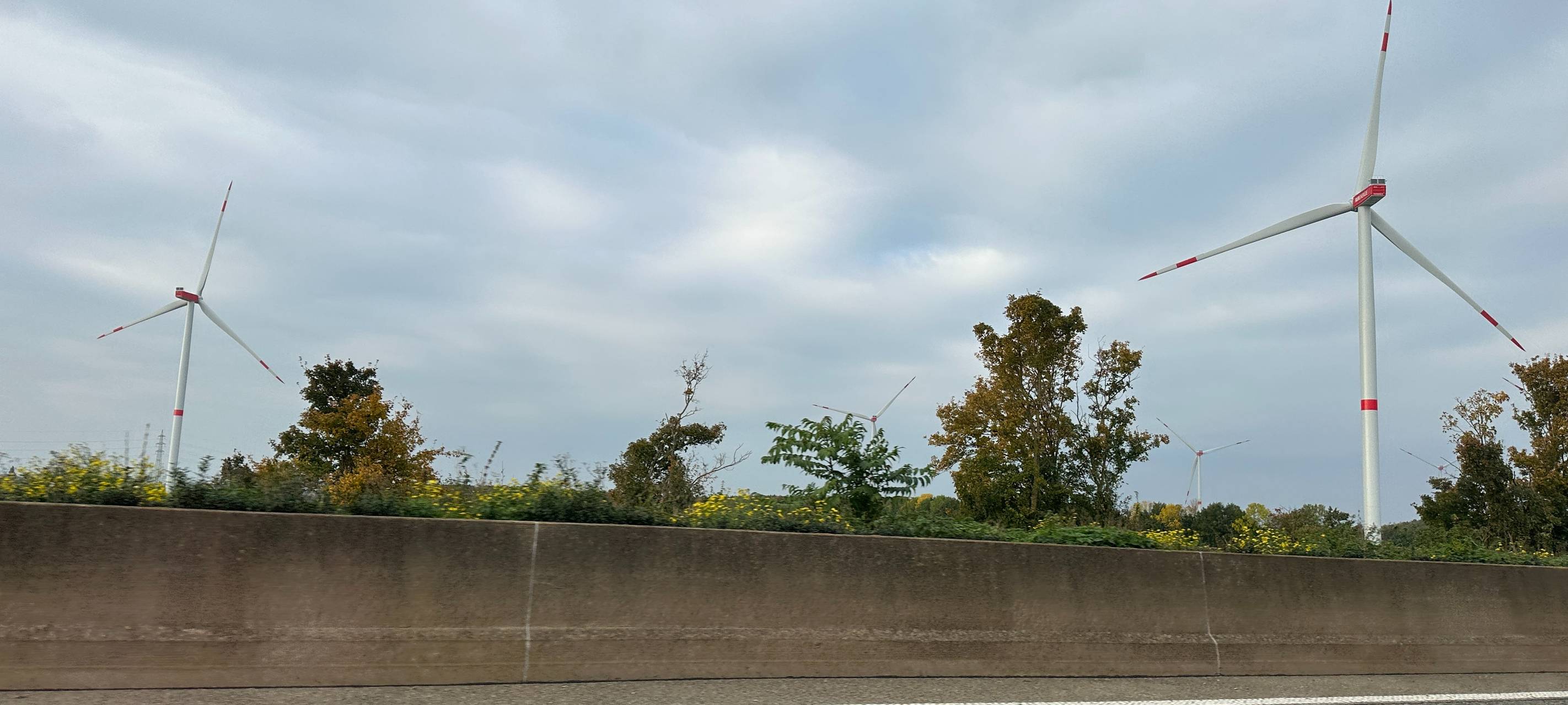 Fast 100 Meter langes Kabel aus Windrad gestohlen