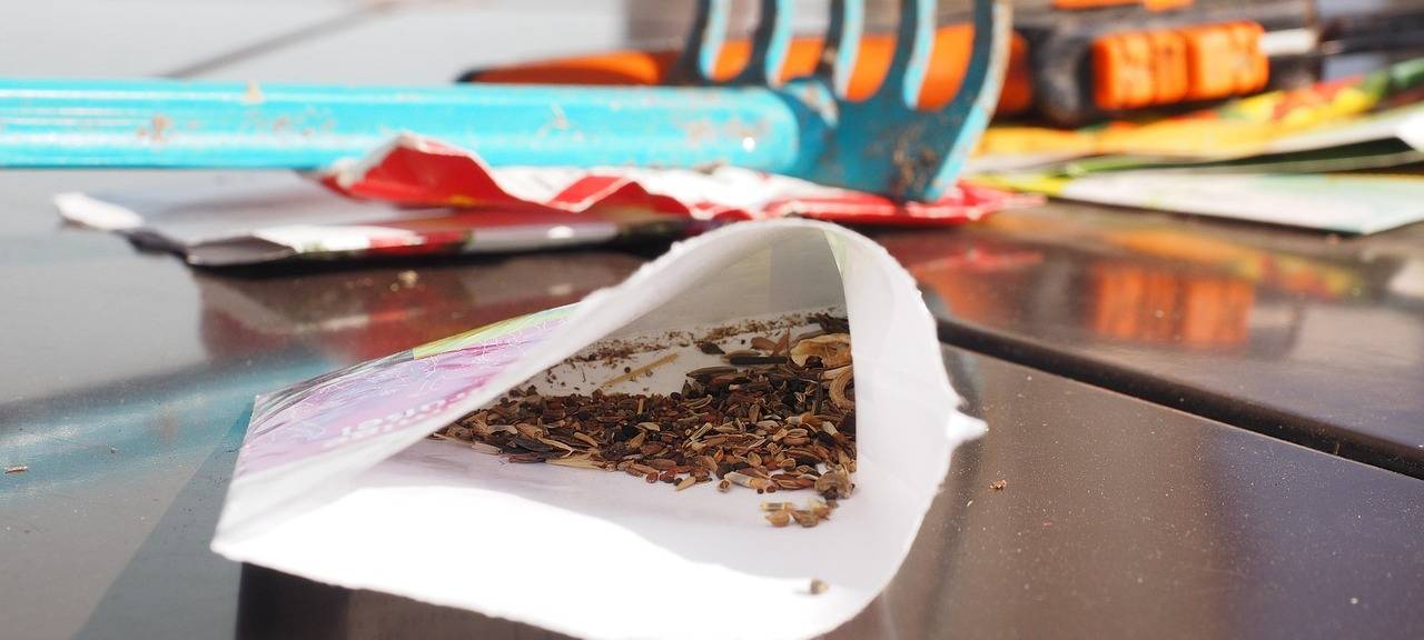 Blumen statt Elektromüll