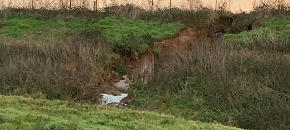 Keine toten Fische in der Erft