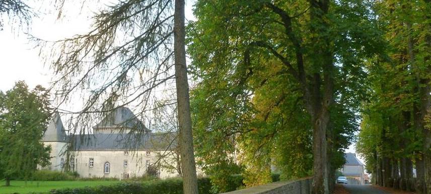 Dahlem muss Kastanien in "Schlossallee" schützen