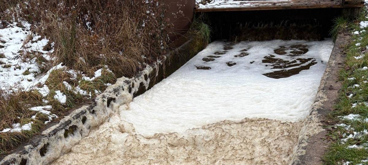 Fischsterben in Mechernich