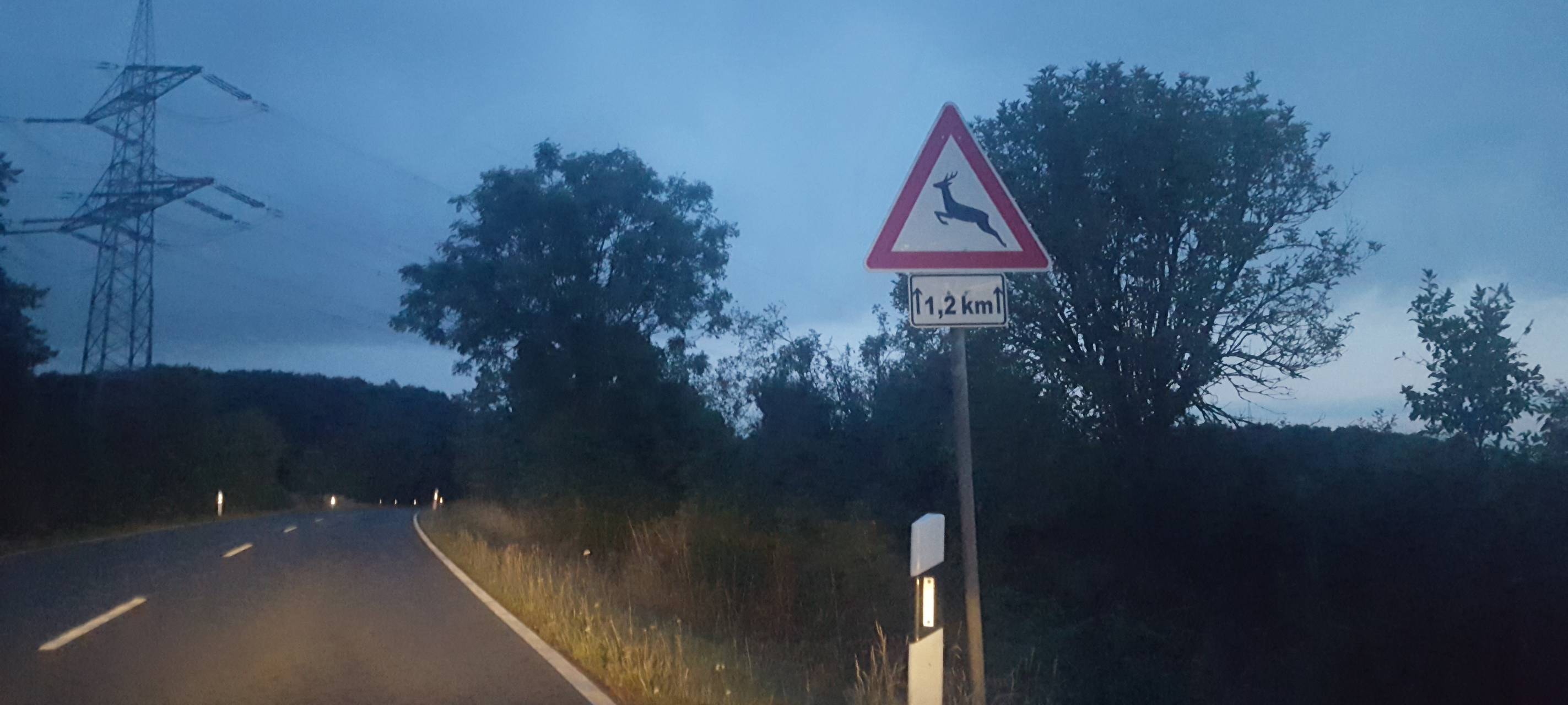 Polizei warnt vor Wildunfällen nach Zeitumstellung