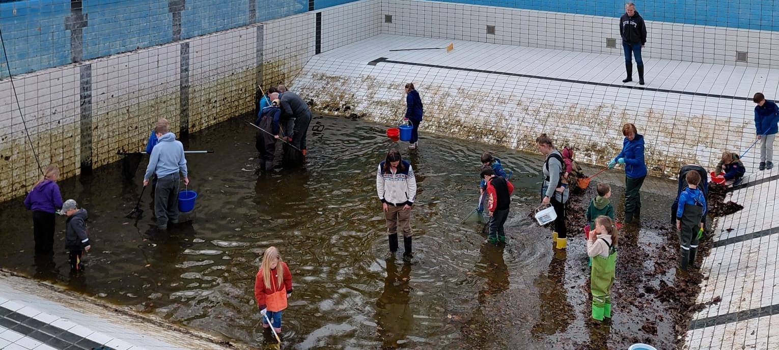 Rosenbad fit für die Freibad-Saison