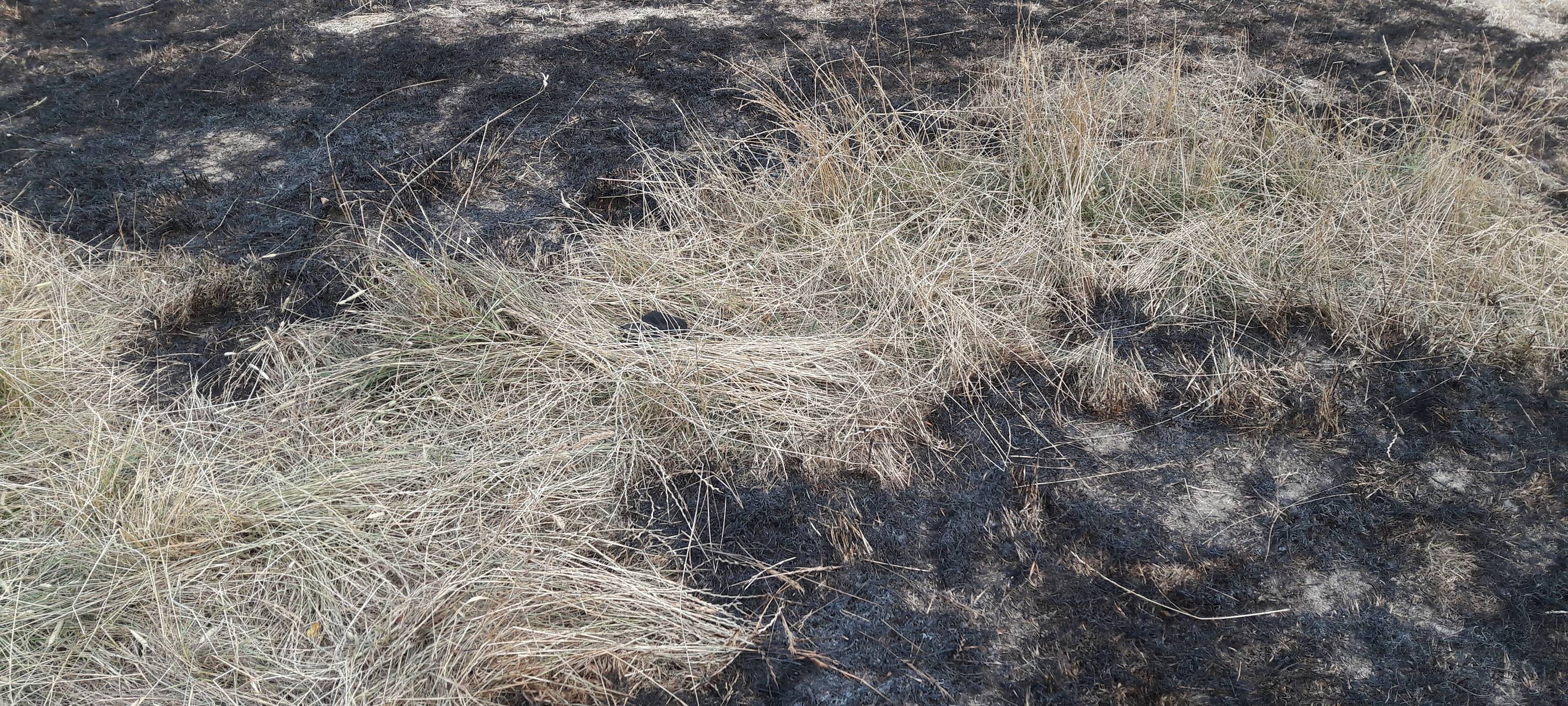 Waldbrandgefahr im Kreis Euskirchen steigt