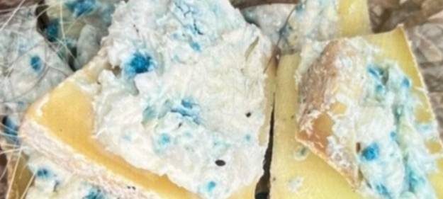 Giftköder in Bad Münstereifel entdeckt