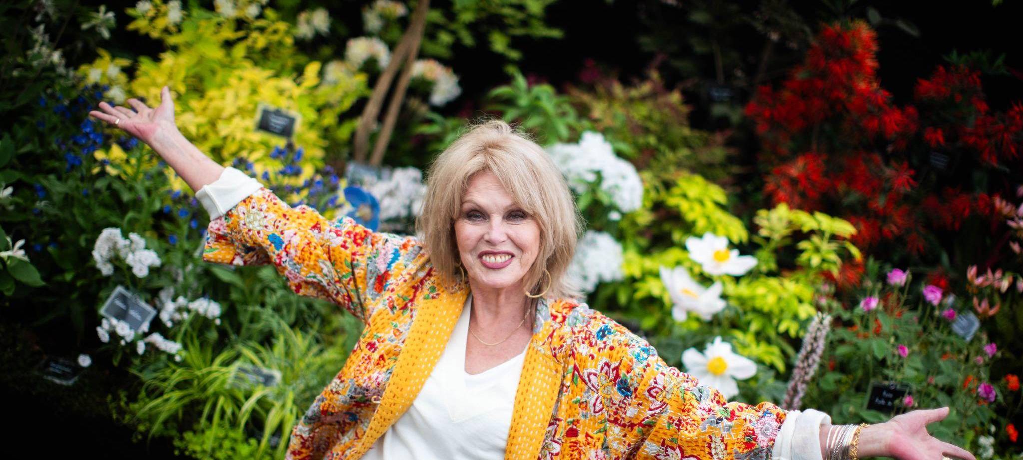 Nationalschatz und Comedy-Ikone: Joanna Lumley wird 80